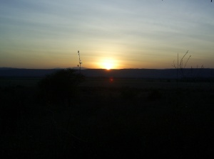 Sun sets over the savannah